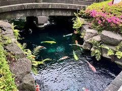 -涩谷区