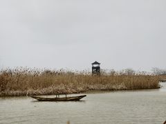 -盐城丹顶鹤湿地生态旅游区