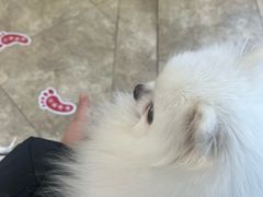 -美联众合动物医院·24h转诊中心