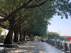 -黄埔古港