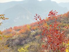 -周口店坡峰岭风景区