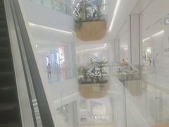 -夏日百货