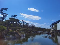 -罗红摄影艺术馆