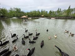 -溱湖国家湿地公园