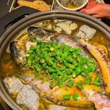 广州‼️这家烤鱼店太实诚了！豆花饮料无限续