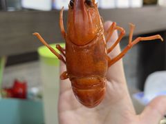 -星记小馆·小蓝龙·老南京砂锅菜(上海路店)