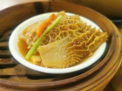 -富豪酒家(正大广场店)