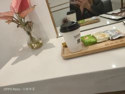 -YESIDO椰岛造型
