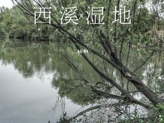 -西溪国家湿地公园