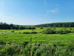 -塞罕坝国家级自然保护区