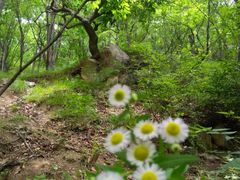 -西泰山风景区