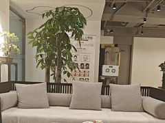 -席仁堂推拿按摩脊柱调理(世纪科贸大厦店)