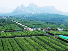 -大泽山风景名胜区