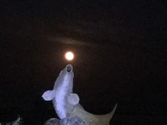 -东戴河风景区-止锚湾