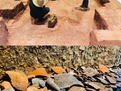 -盘龙城国家考古遗址公园