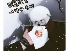 -王红军龙虾(盐仓桥店)