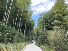 -东明山森林公园
