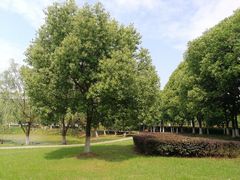 -ZEMOCAFE·FUSION FOOD(西交利物浦店)