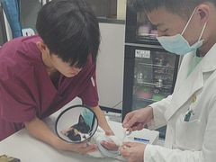 -瑞鹏宠物医院·骨科·猫科·内科(第一中心)