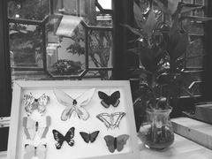 -猫的天空之城概念书店(杭州南宋御街店)