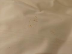 -深圳滨河时代ICON LAB艾垦酒店