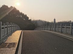 -重庆园博园
