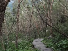 -白草畔自然风景区