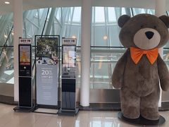 -济州岛泰迪熊博物馆