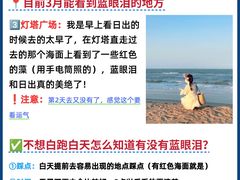 -日照灯塔风景区