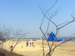 -碧海金沙
