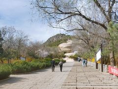 -府君山公园