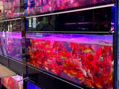 -双季花艺园艺市场(浦东店)
