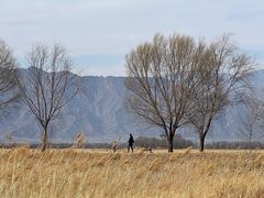 -野鸭湖国家湿地公园