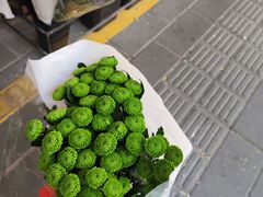 -溪岸路花鸟市场