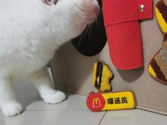 -麦当劳(国际大厦店)