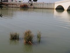 -大湾区中央湿地公园