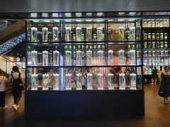 -广东中医药博物馆