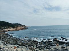 -广东惠东海龟国家级自然保护区