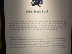 -成都泰迪熊博物馆