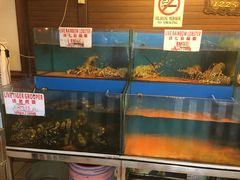 -真浪花园海鲜餐馆
