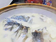 -全乐鱼馆·淳牌有机鱼直营店