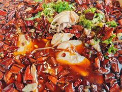 -陈麻婆豆腐总店