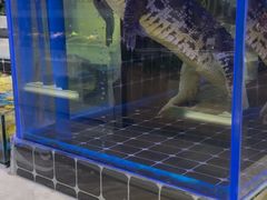 -川骄海鲜自助(河东店)