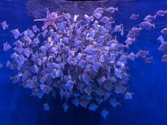 -沈阳海洋探索中心