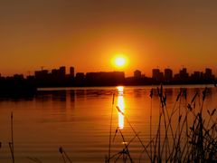 -艾溪湖湿地公园