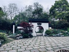 -上海共青森林公园