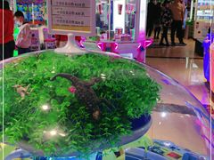 -大玩家(万达广场大连甘井子店)