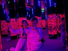 -成都浩海立方海洋公园