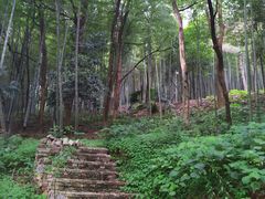 -三江森林温泉度假区