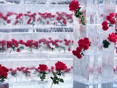 -万达广场(龙湖店)